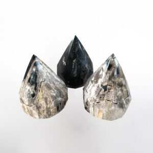 Petrified Wood  Coconut Deco L
